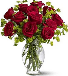 Rosas rojas tallo largo de la mejor calidad, arreglado de forma Elegante con verde de relleno