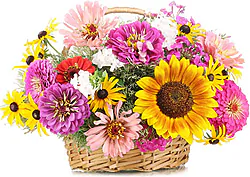 Cesta de flores brillantes