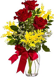 3 rosas rojas y mimosas