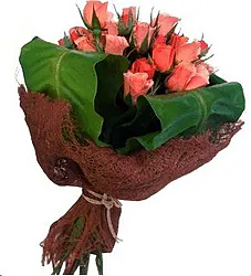 rosas rosadas