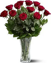 rosas rojas