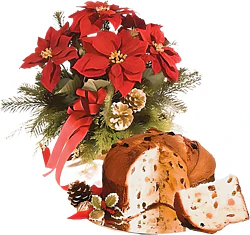 Flor de Pascua roja de primera clase con panettone