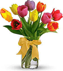 Añade un toque de color a tu jardín con el Ramo de Tulipanes Arcoíris: pura alegría y energía.